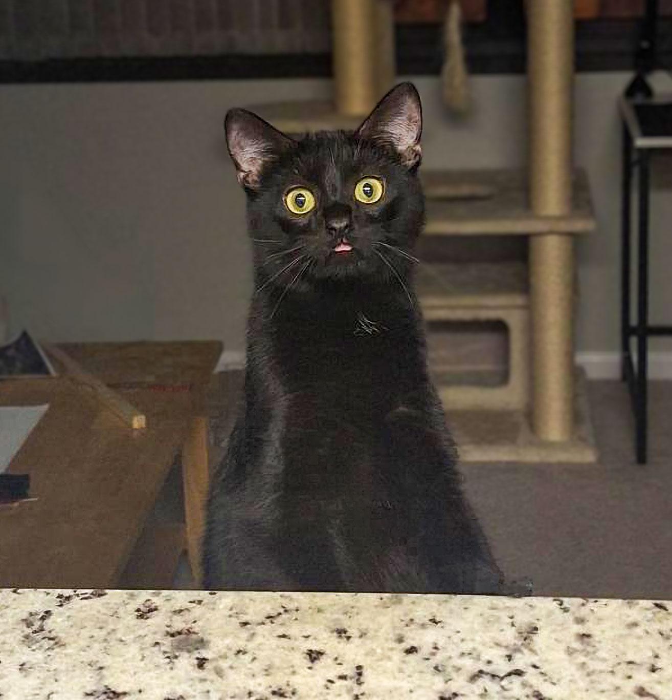 Rhonda — thumbnail 4