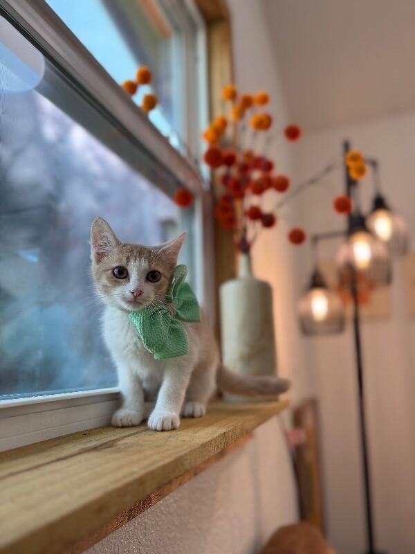 Rocket Guardians — thumbnail 4