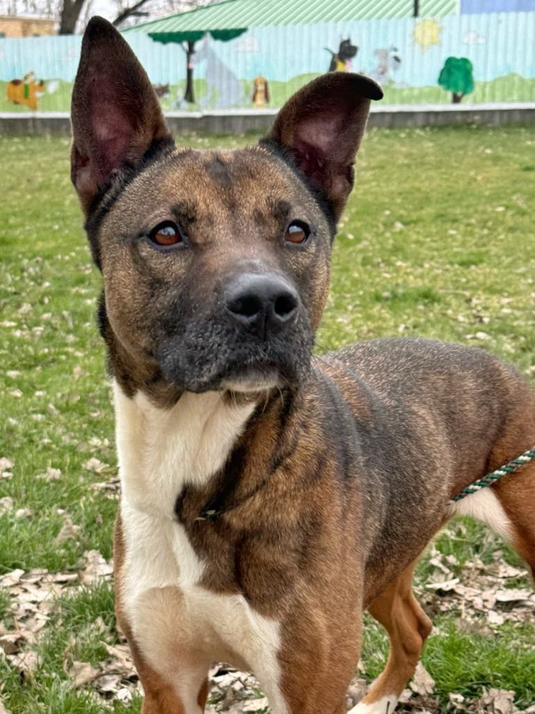 Lilo! Beautiful Incredible Girl! thumbnail 2