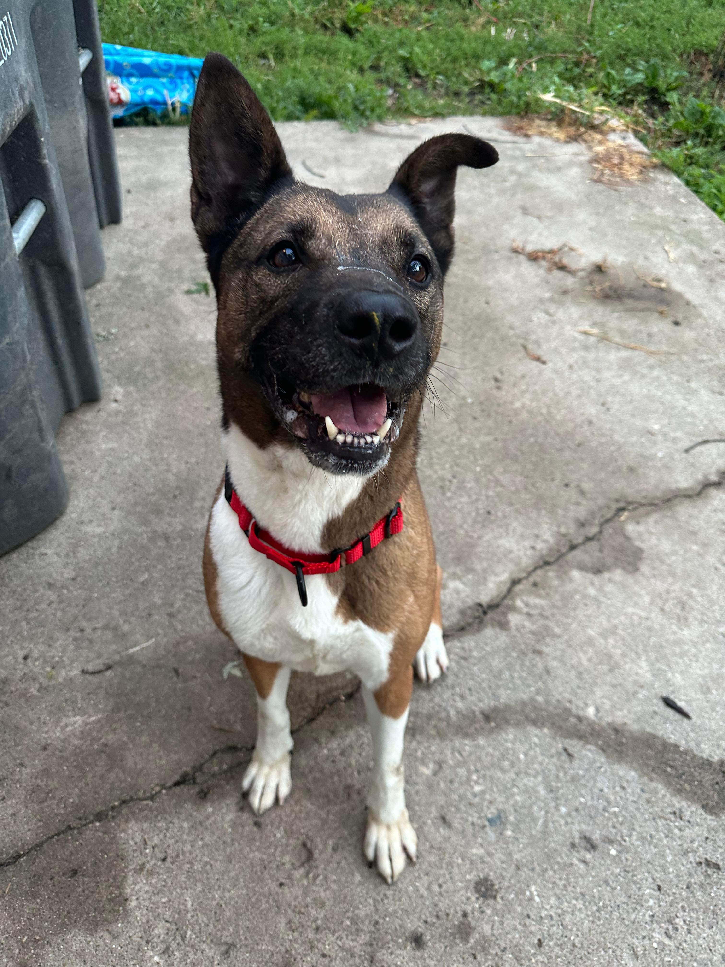 Lilo! Beautiful Incredible Girl! thumbnail 3