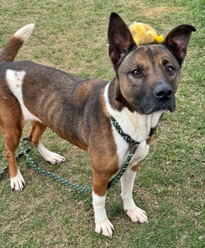 Lilo! Beautiful Incredible Girl! thumbnail 4