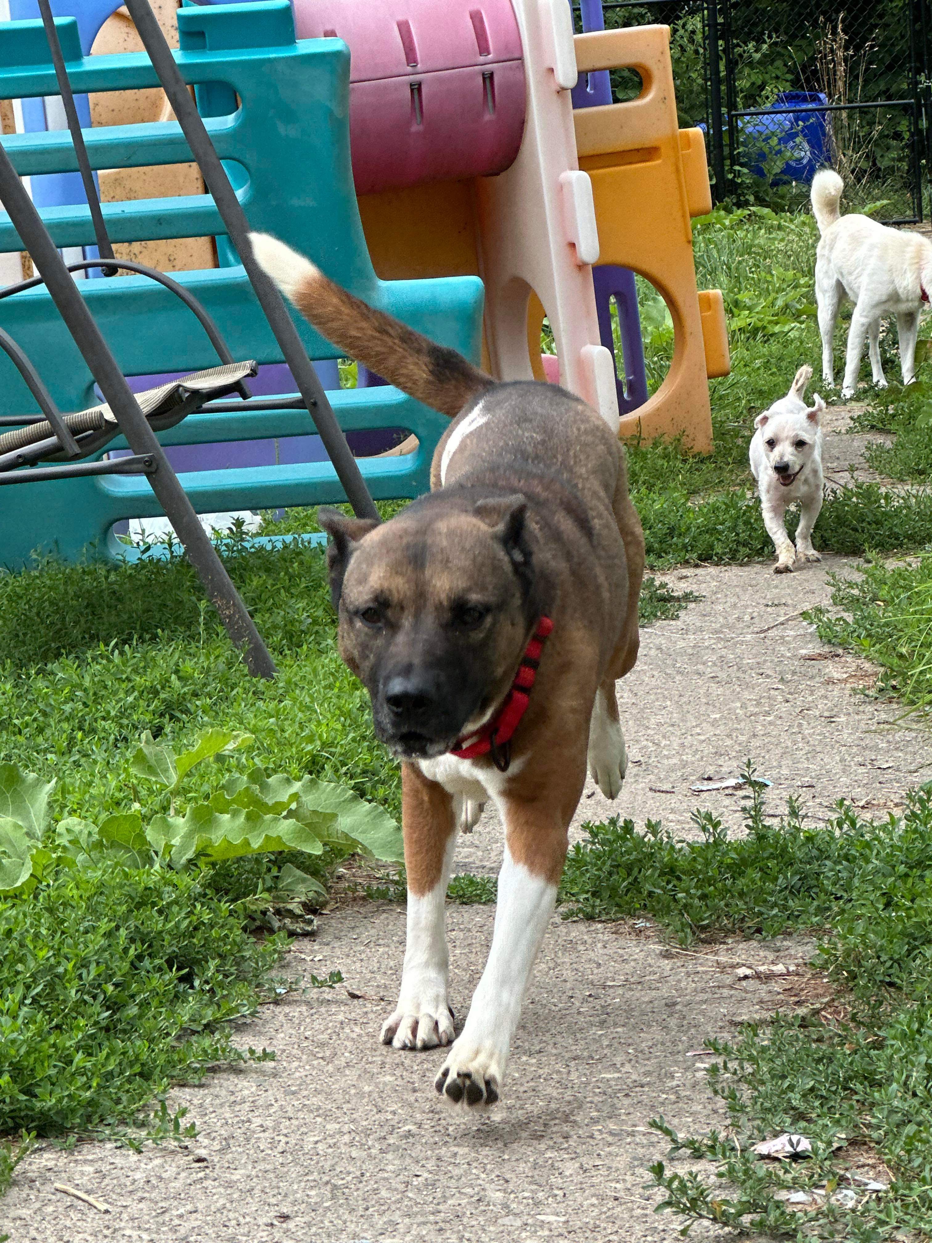 Lilo! Beautiful incredible girl! — thumbnail 4