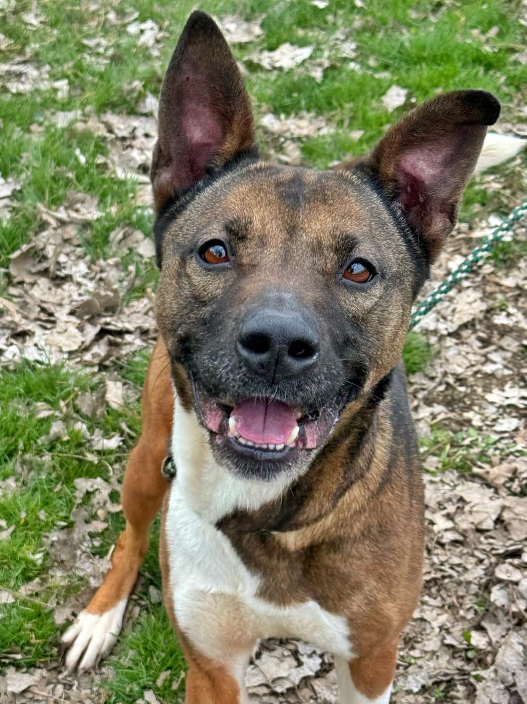 Lilo! Beautiful incredible girl! — thumbnail 5