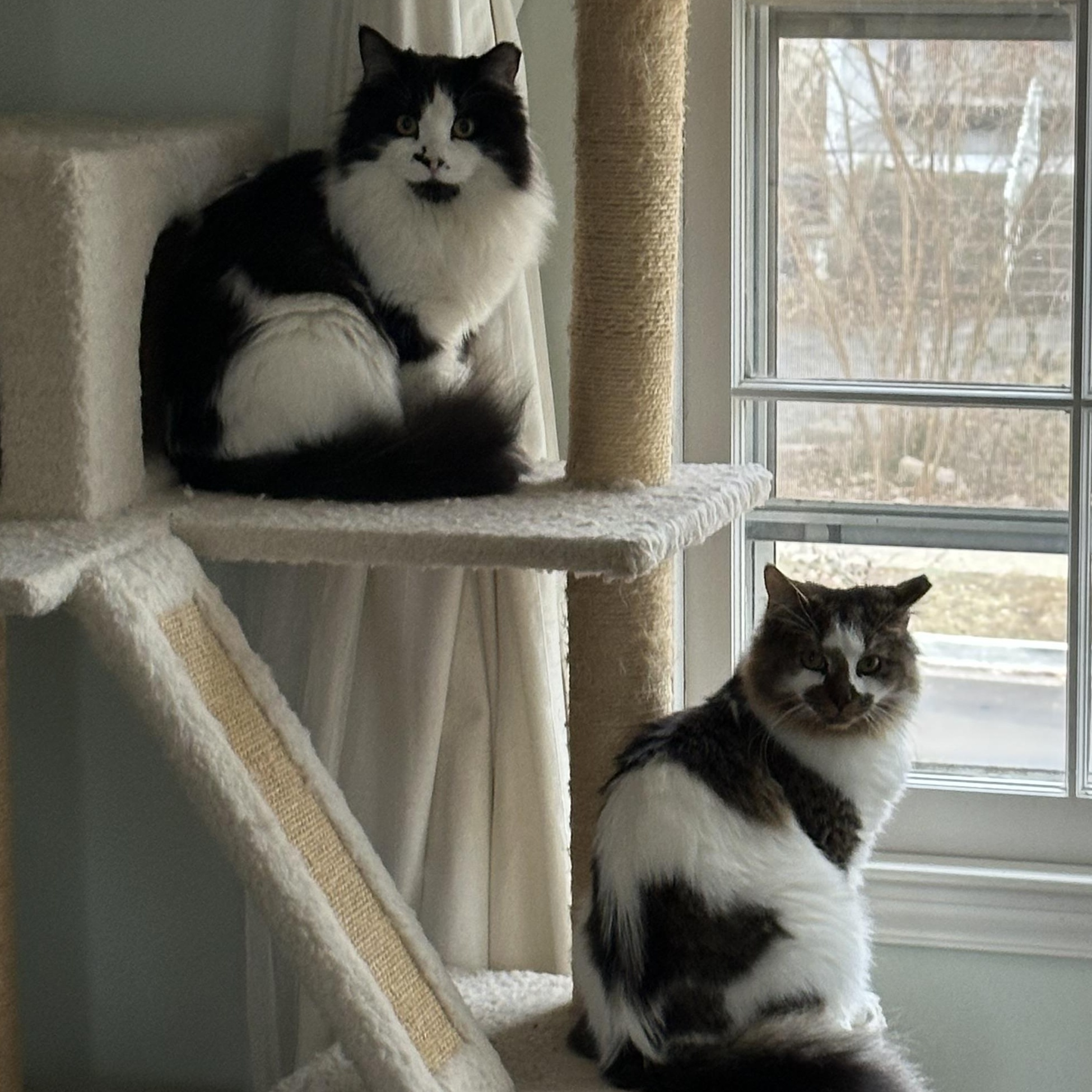 Jonas & David thumbnail 4