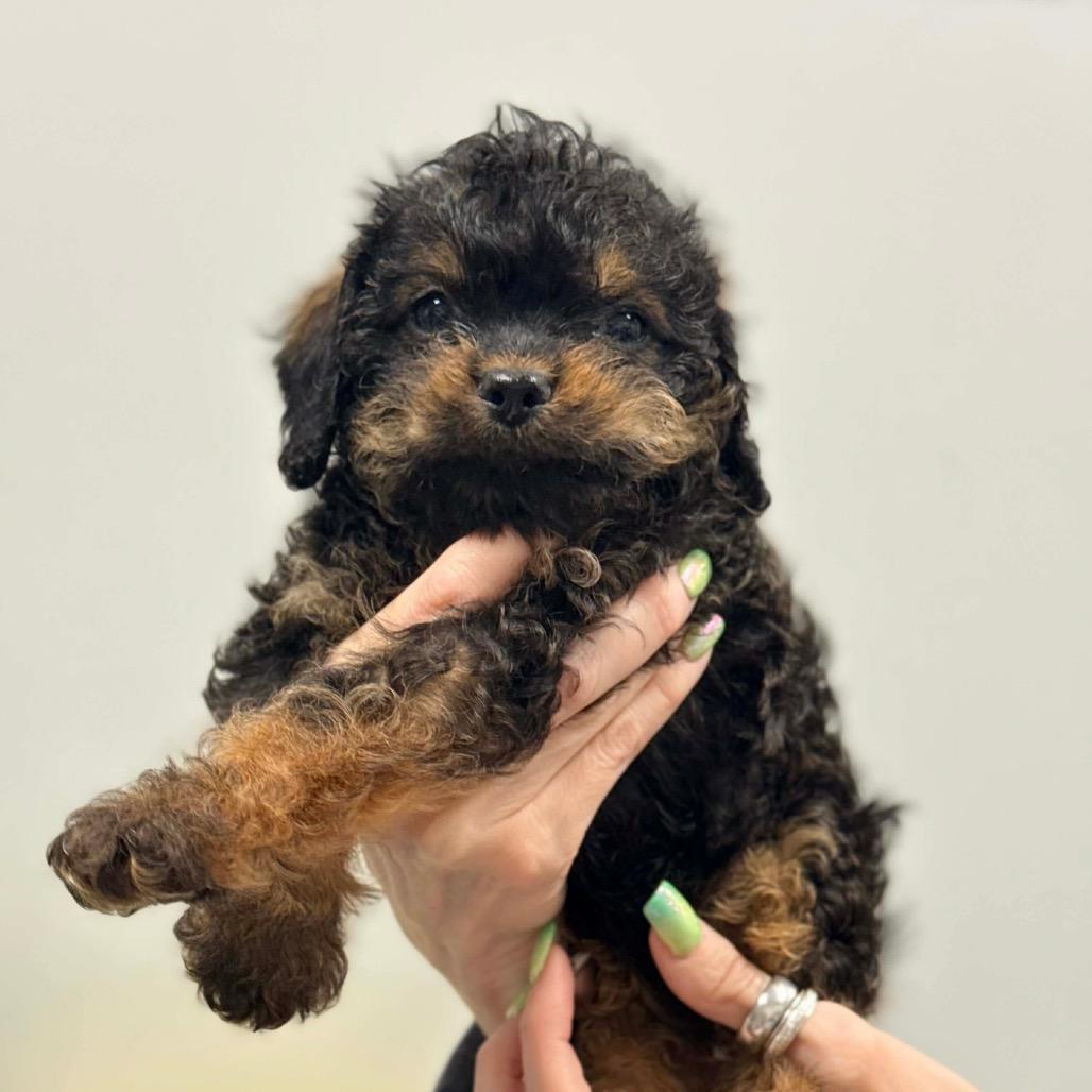 Private — thumbnail 2