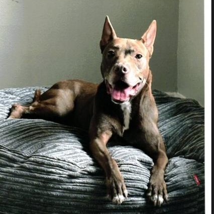 Tracy — thumbnail 3