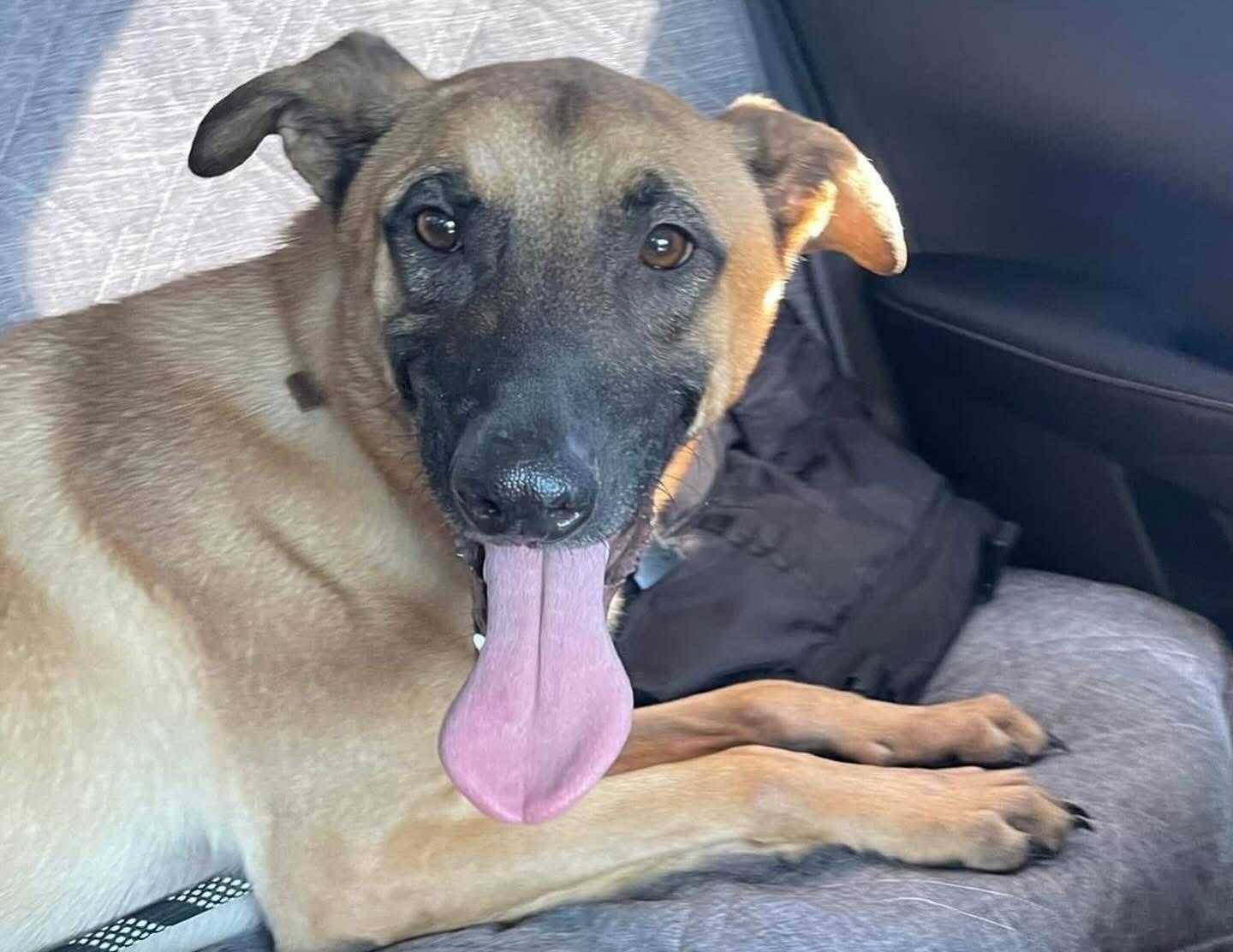 Justin — thumbnail 2