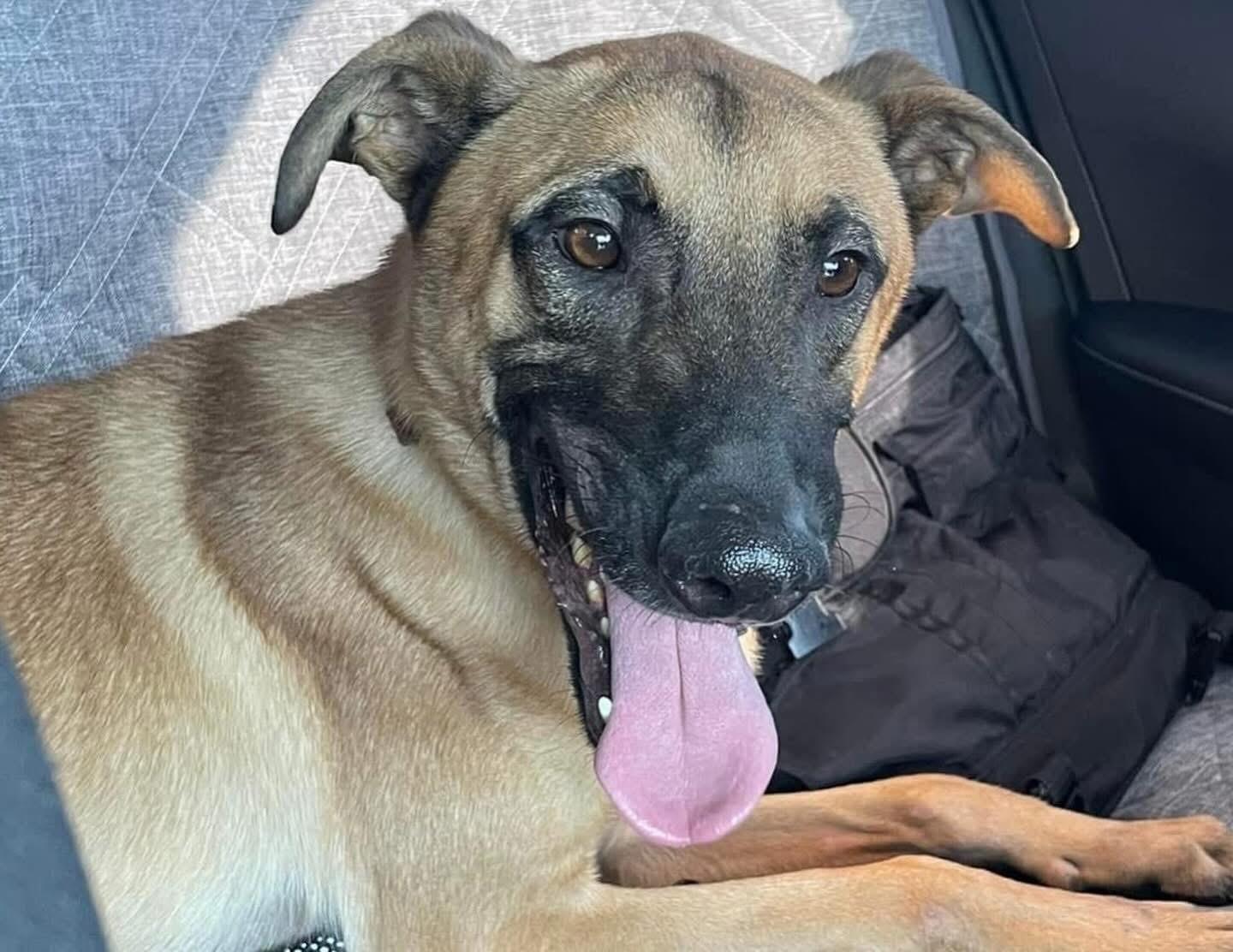 Justin — thumbnail 3