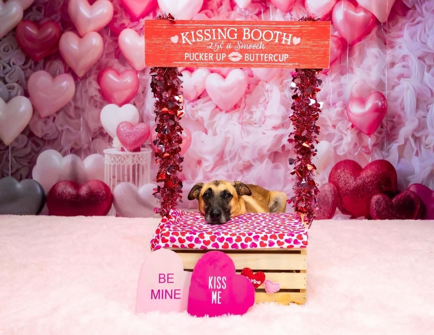 Justin — thumbnail 4