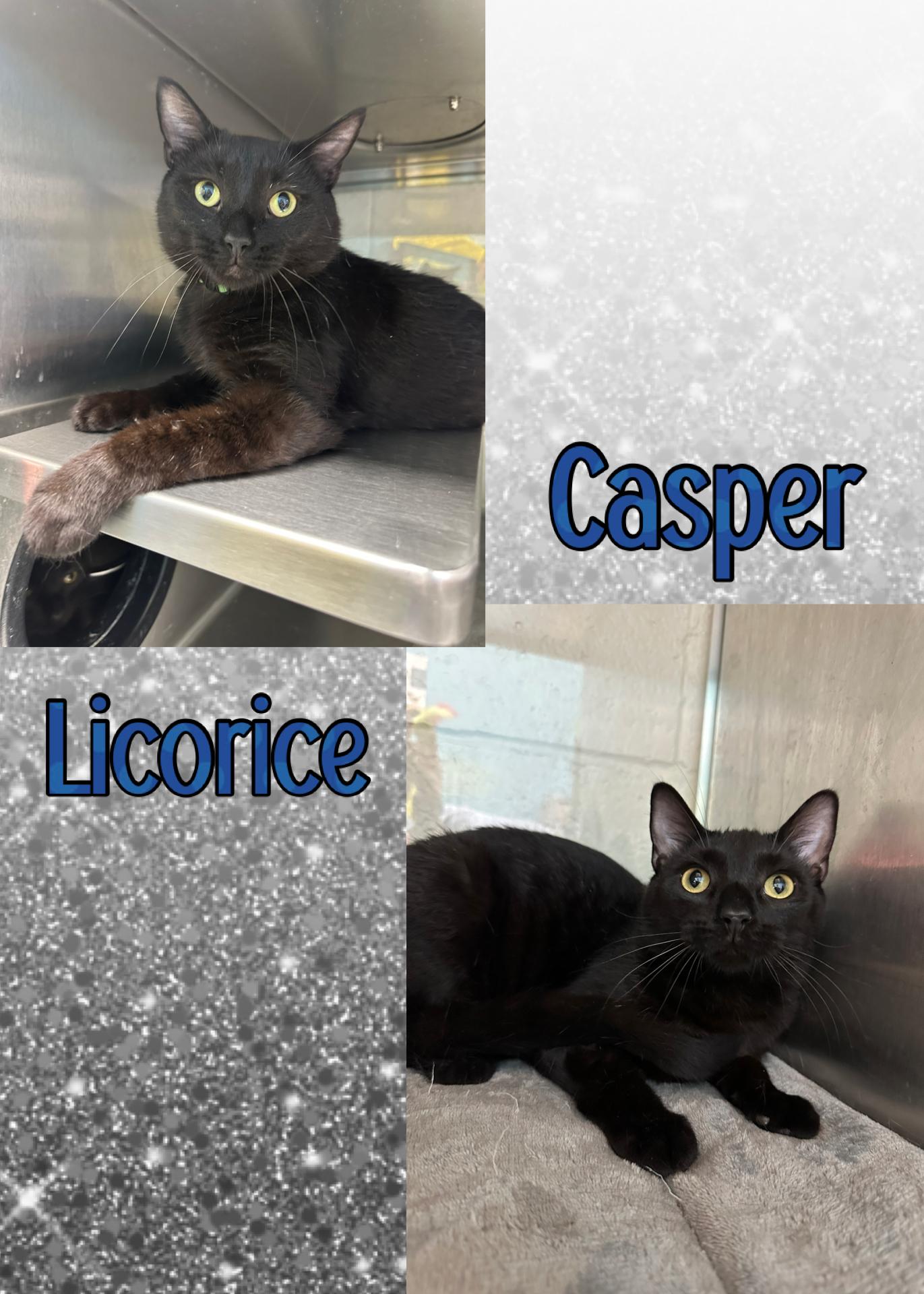 Licorice & Casper