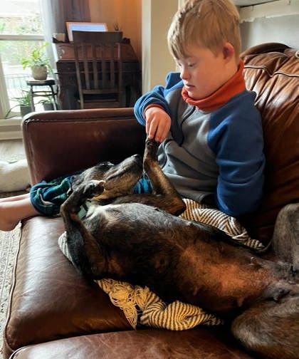 Enlarge Joy, a Adoptable mixed breed in Kingwood, TX image 2/3