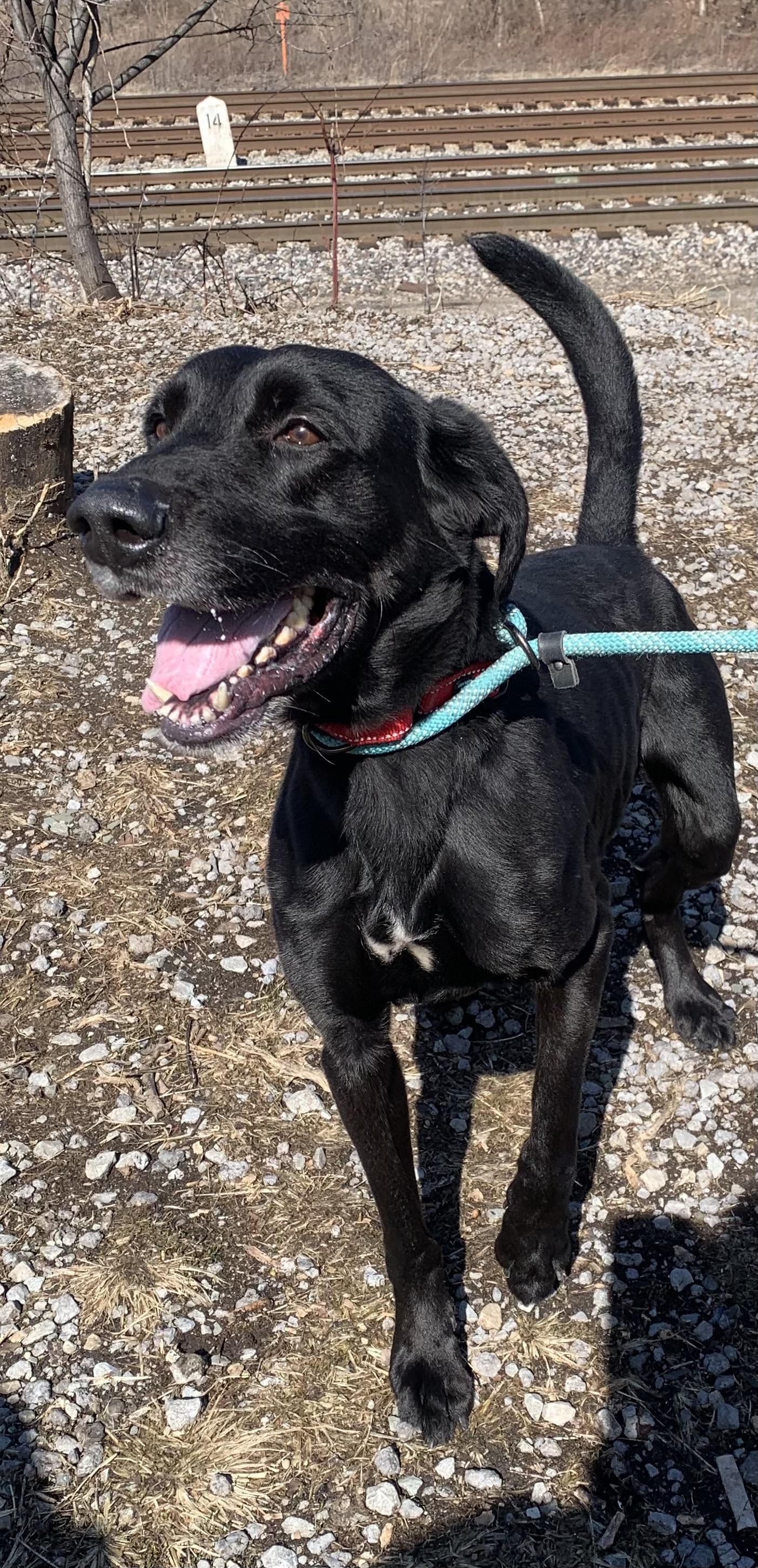 Hershey — thumbnail 2