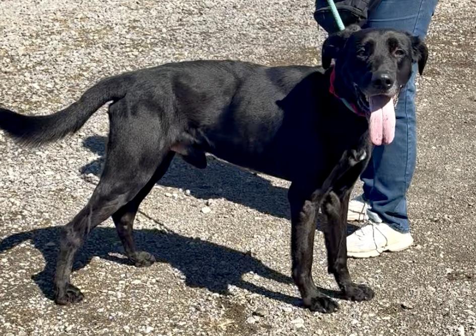 Hershey — thumbnail 5