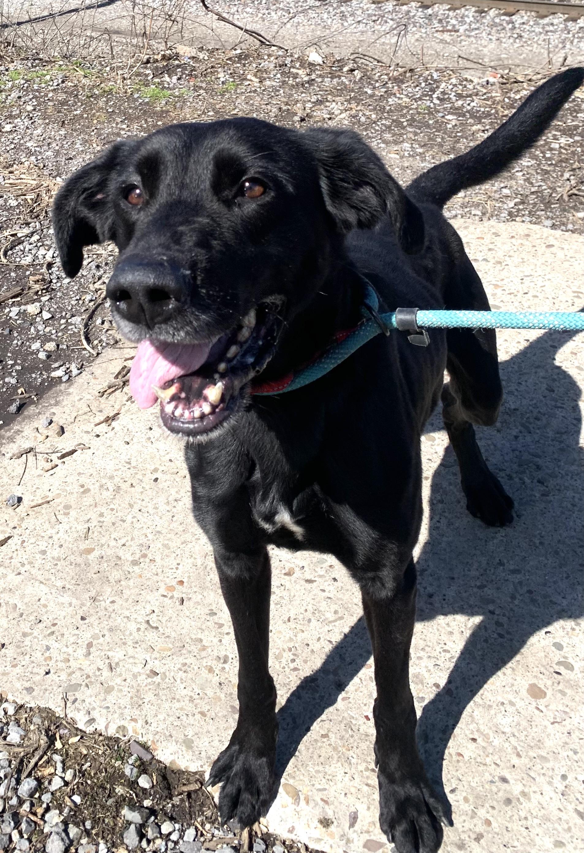 Hershey — thumbnail 6