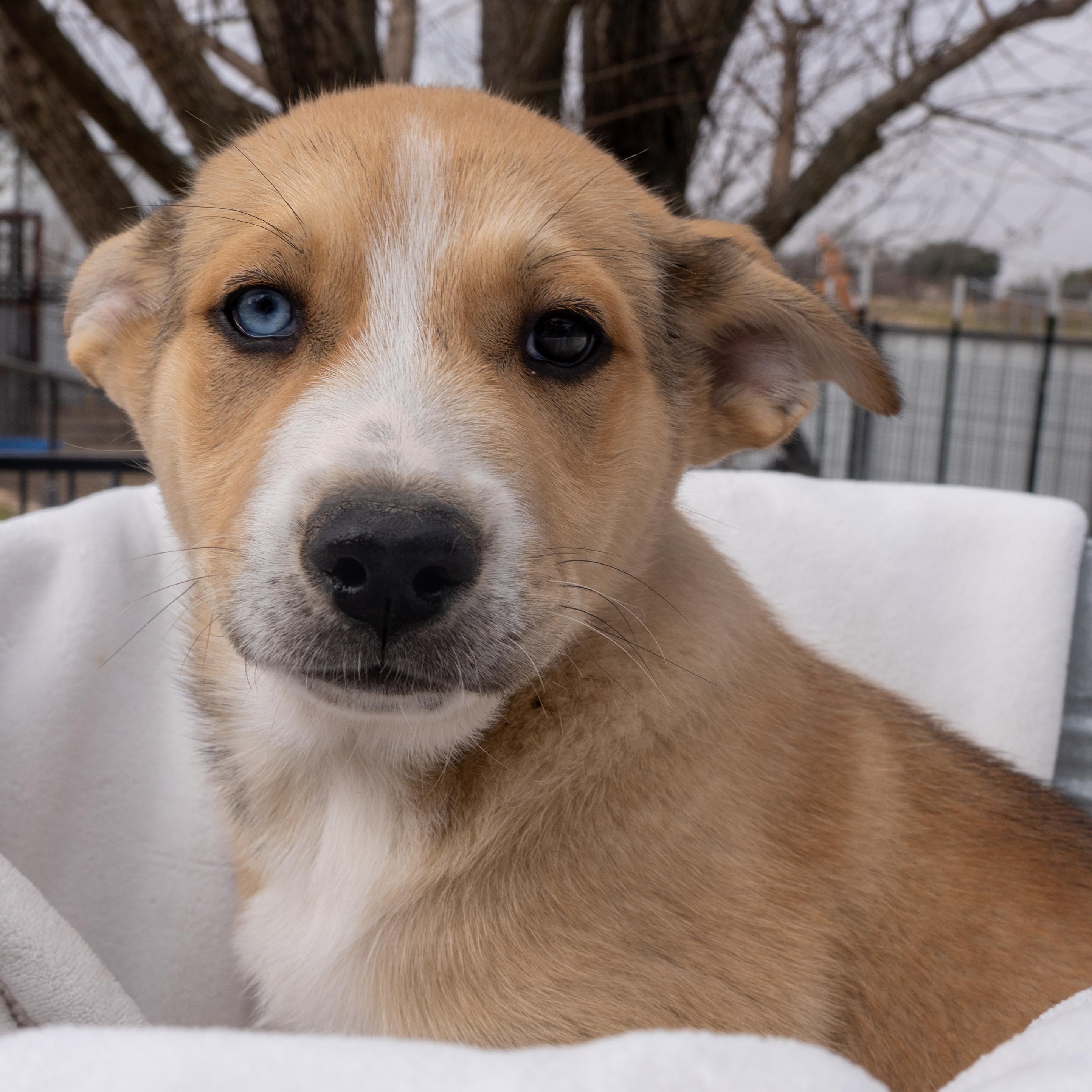 Leif — thumbnail 3