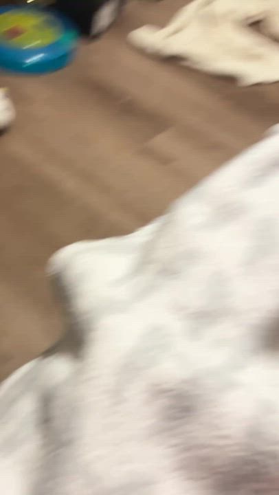 Enlarge Honeycrisp and Crunchwrap, a Adoptable Domestic Short Hair in Seattle, WA video 6/6