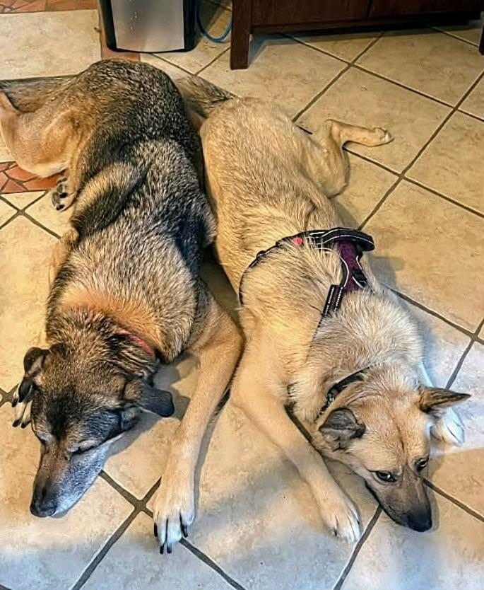 Sally Field (20260302-03)