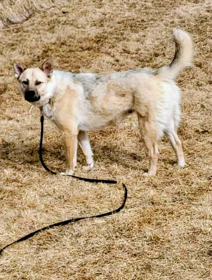 Sally Field (20260302-03) — thumbnail 2