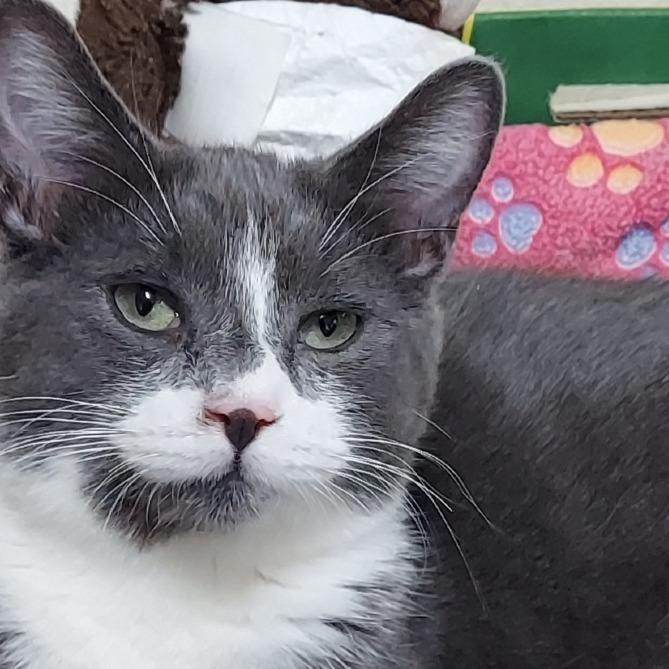 Whoppers — thumbnail 2