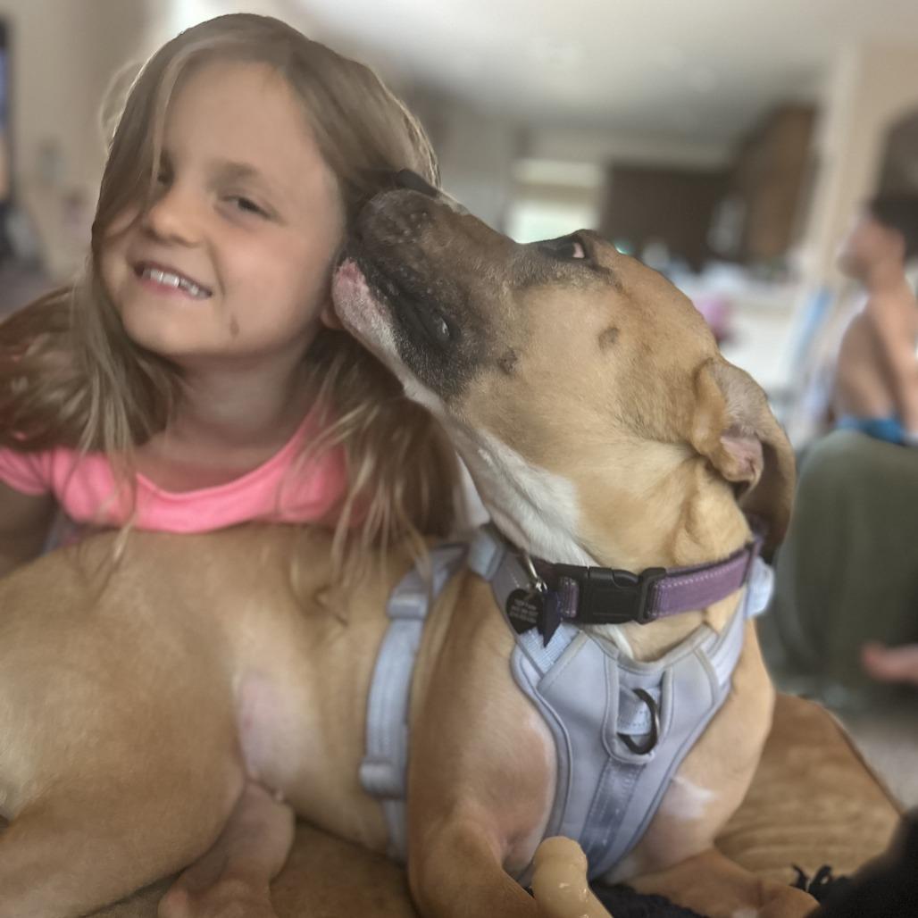 Enlarge Ruthie, a Adoptable mixed breed in Dallas, TX image 4/6