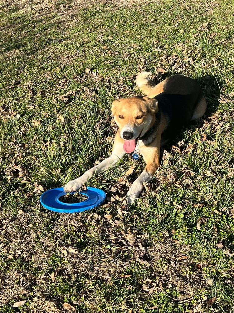 Axel — thumbnail 2