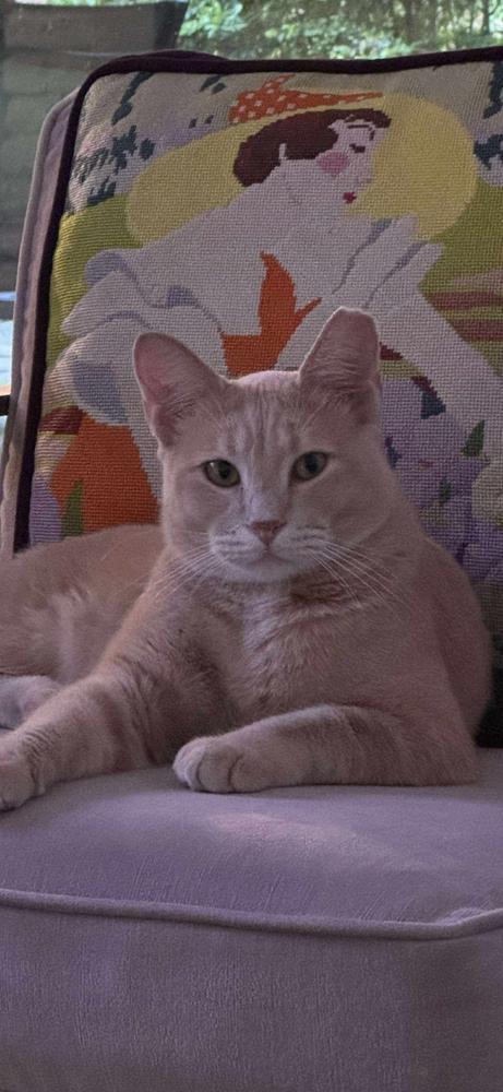 George — thumbnail 2