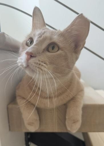 George — thumbnail 3