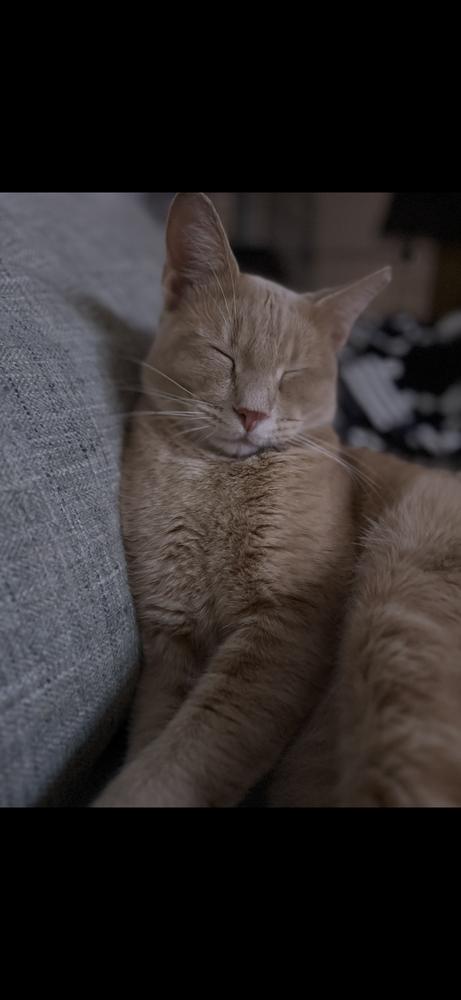 George — thumbnail 5