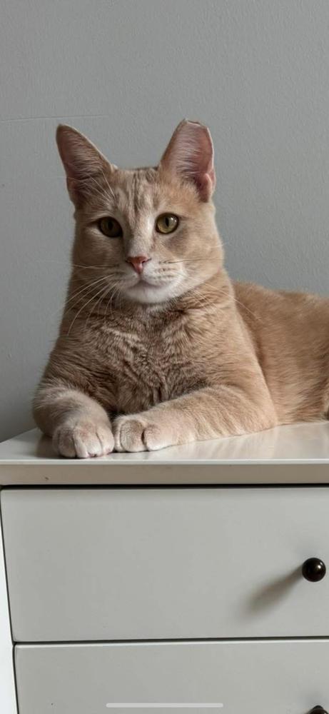 George — thumbnail 6