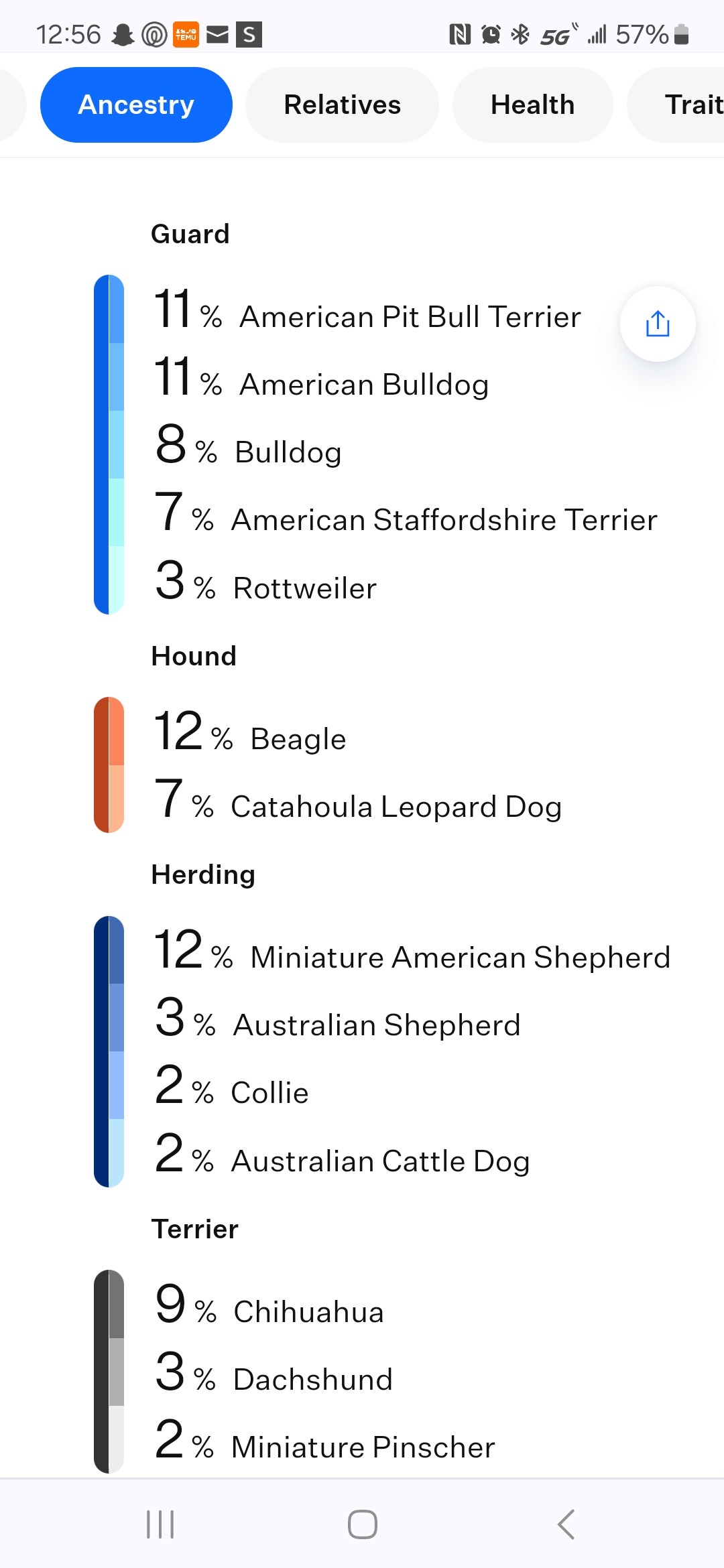 Enlarge Puppy #5, a Adopted Boston Terrier in Linton, IN image 1/2