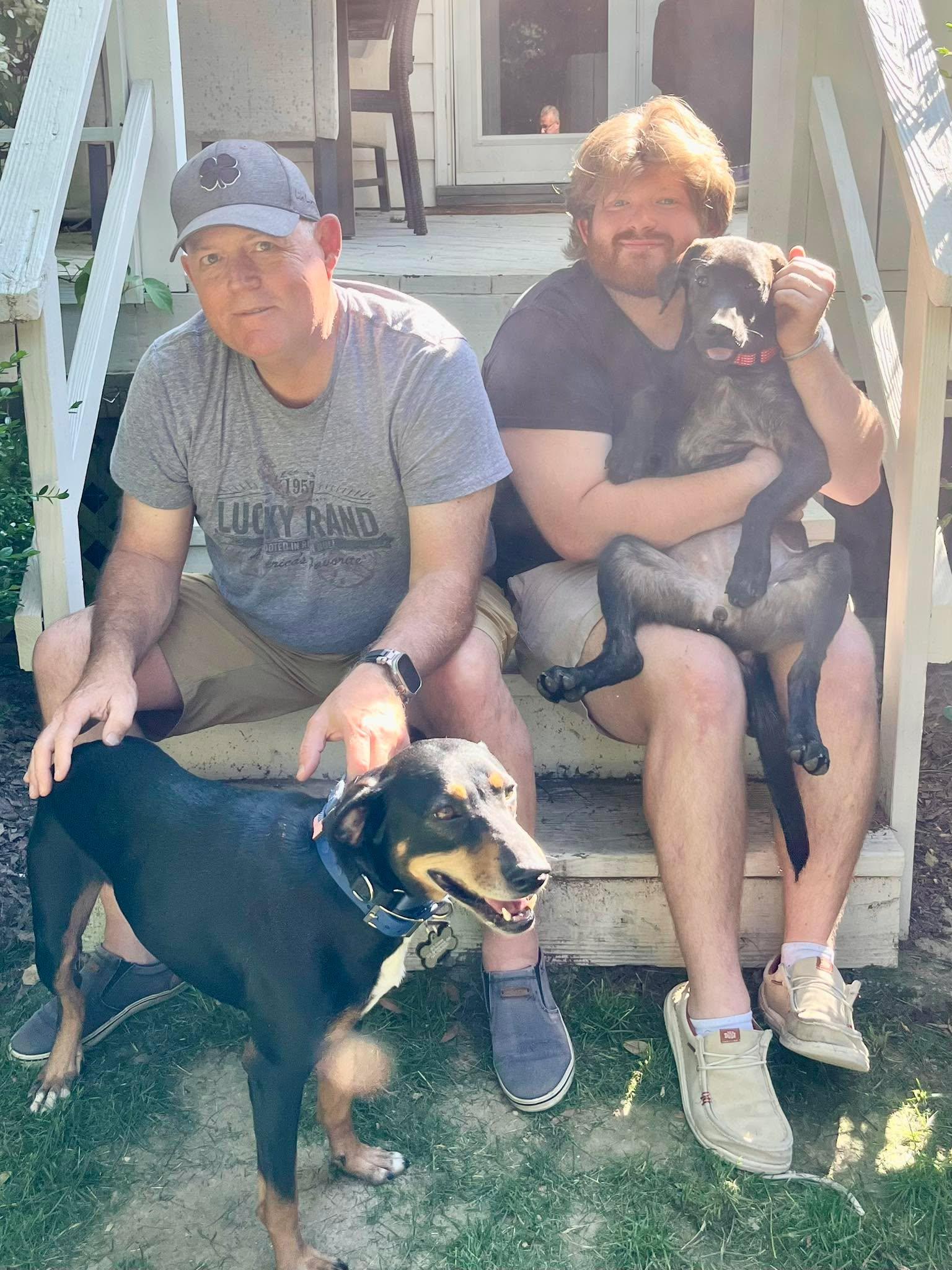 Enlarge Joy, a Adopted Black Labrador Retriever in Blackwood, NJ image 3/3