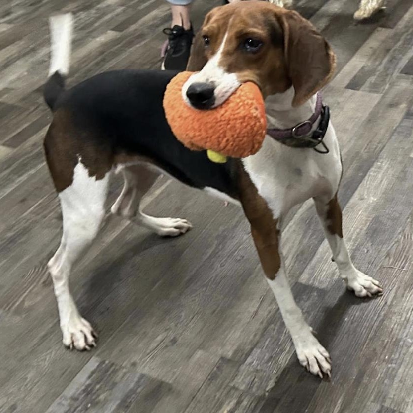 Mandy — thumbnail 3