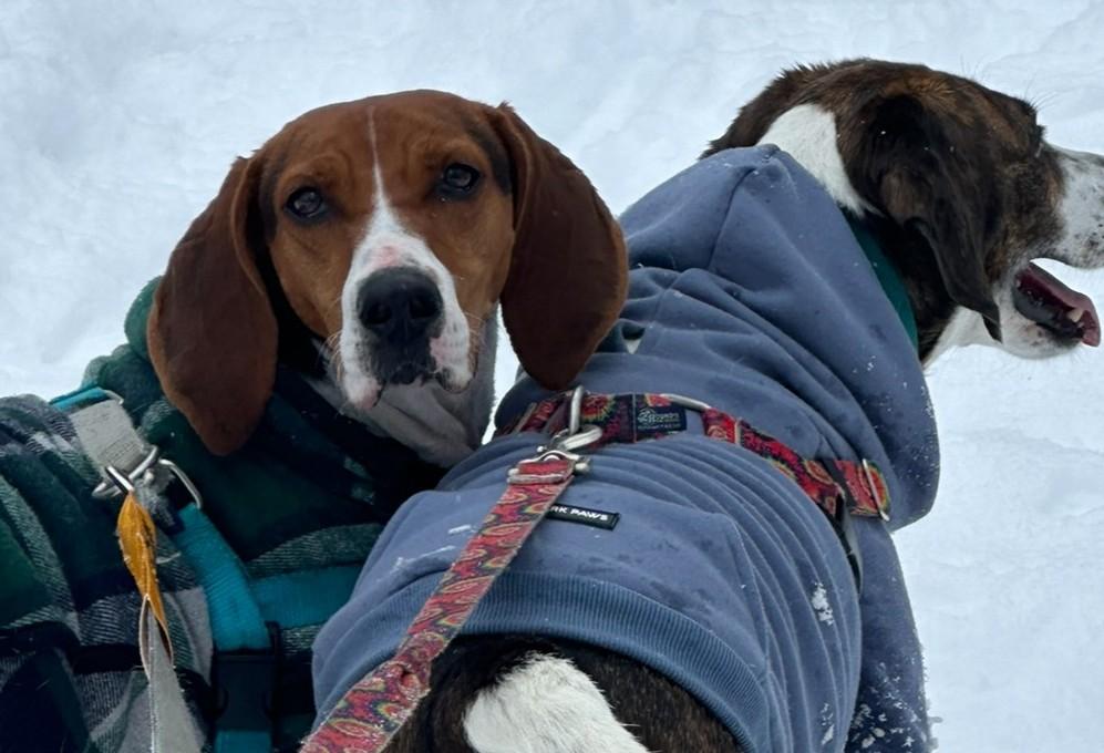 Mandy — thumbnail 5