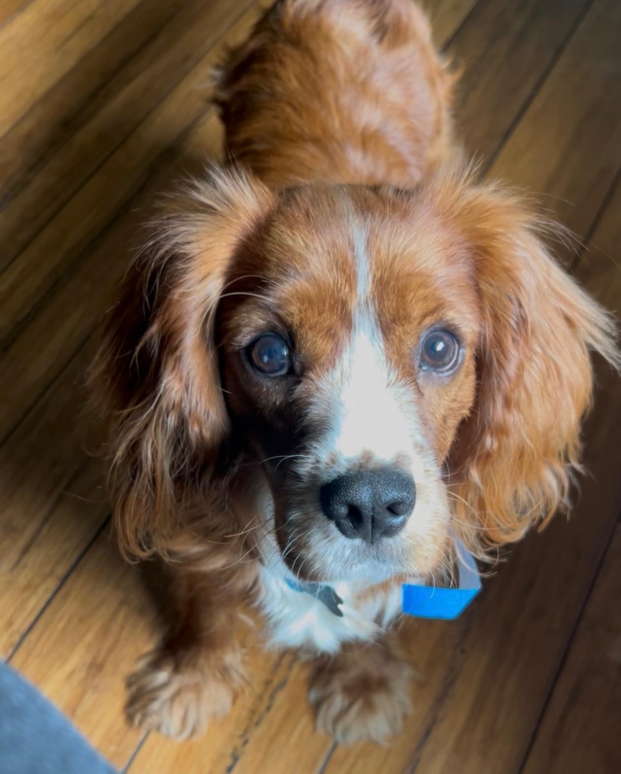 Benson