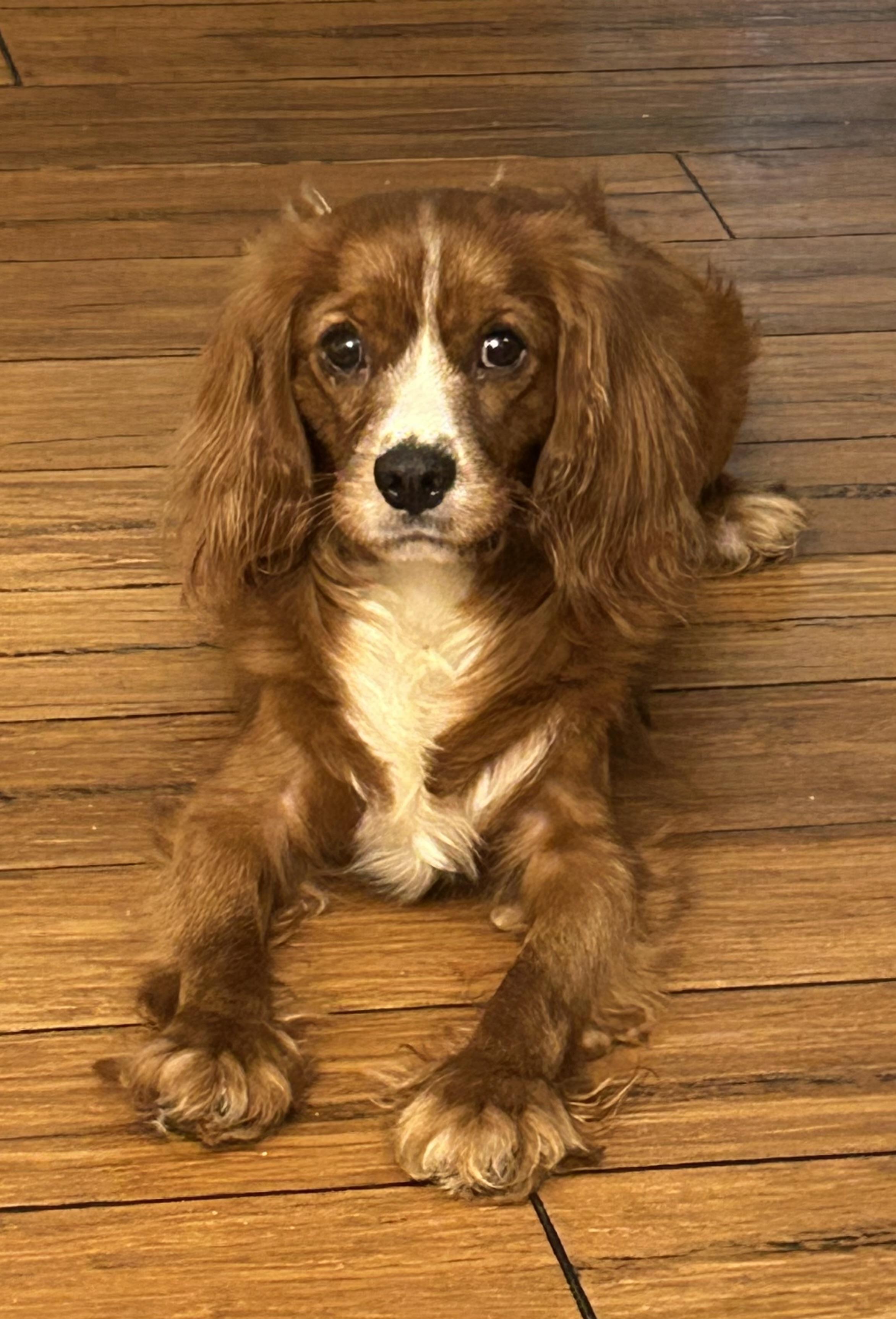 Benson
