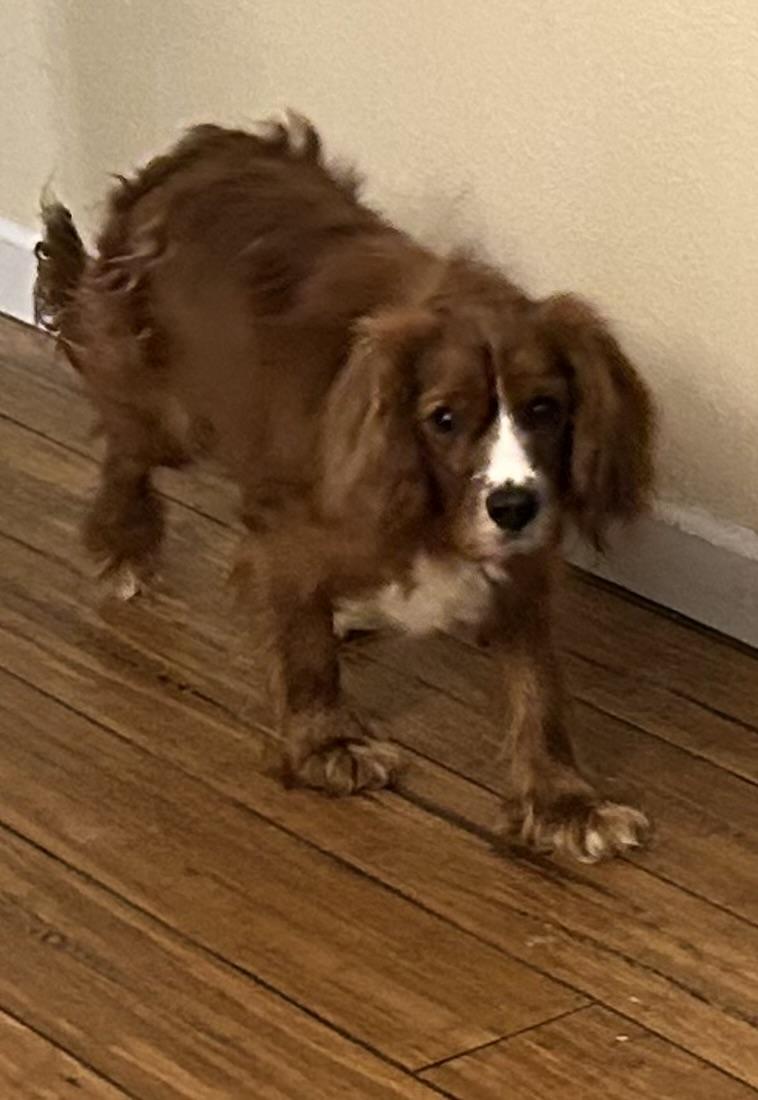Benson