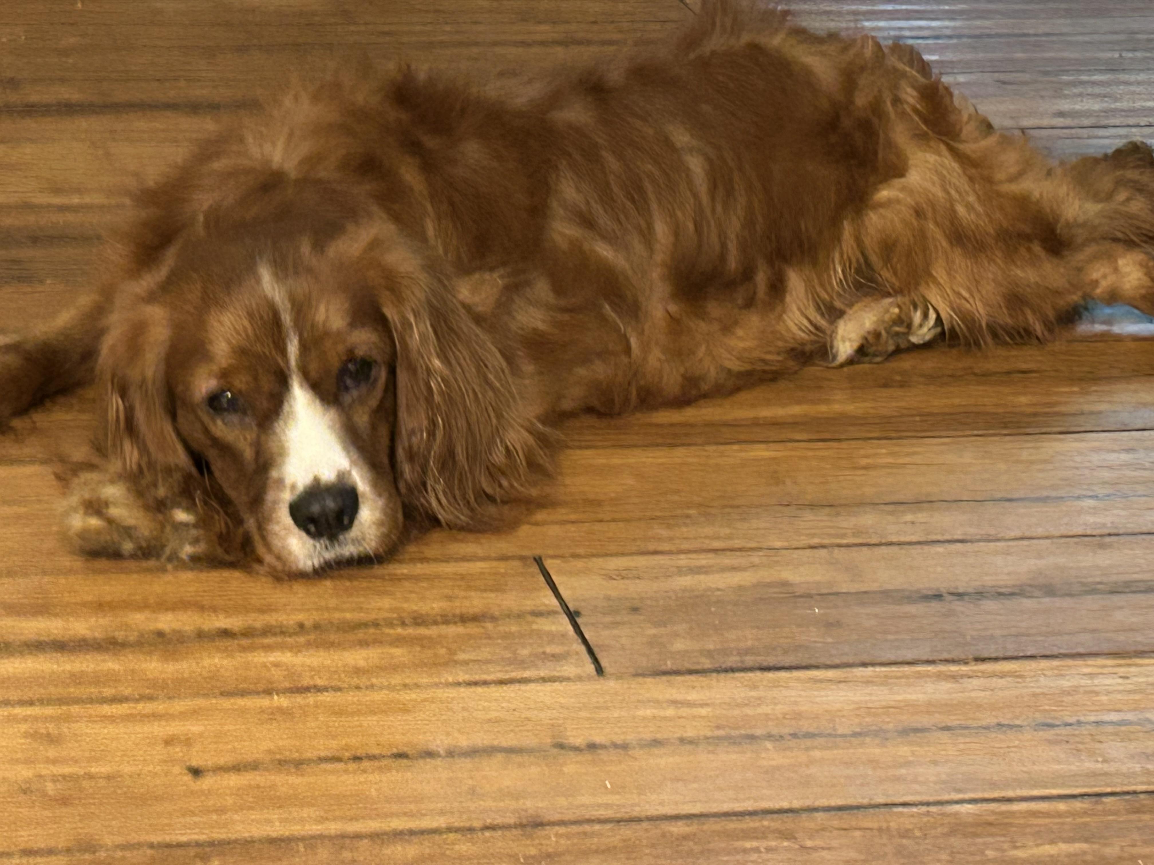 Benson