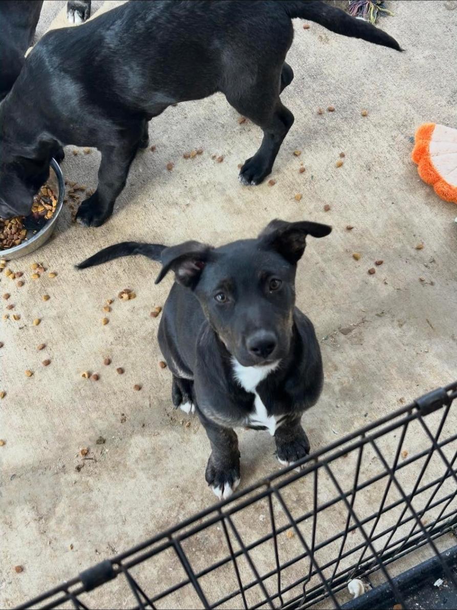 Faye Valentine — thumbnail 2