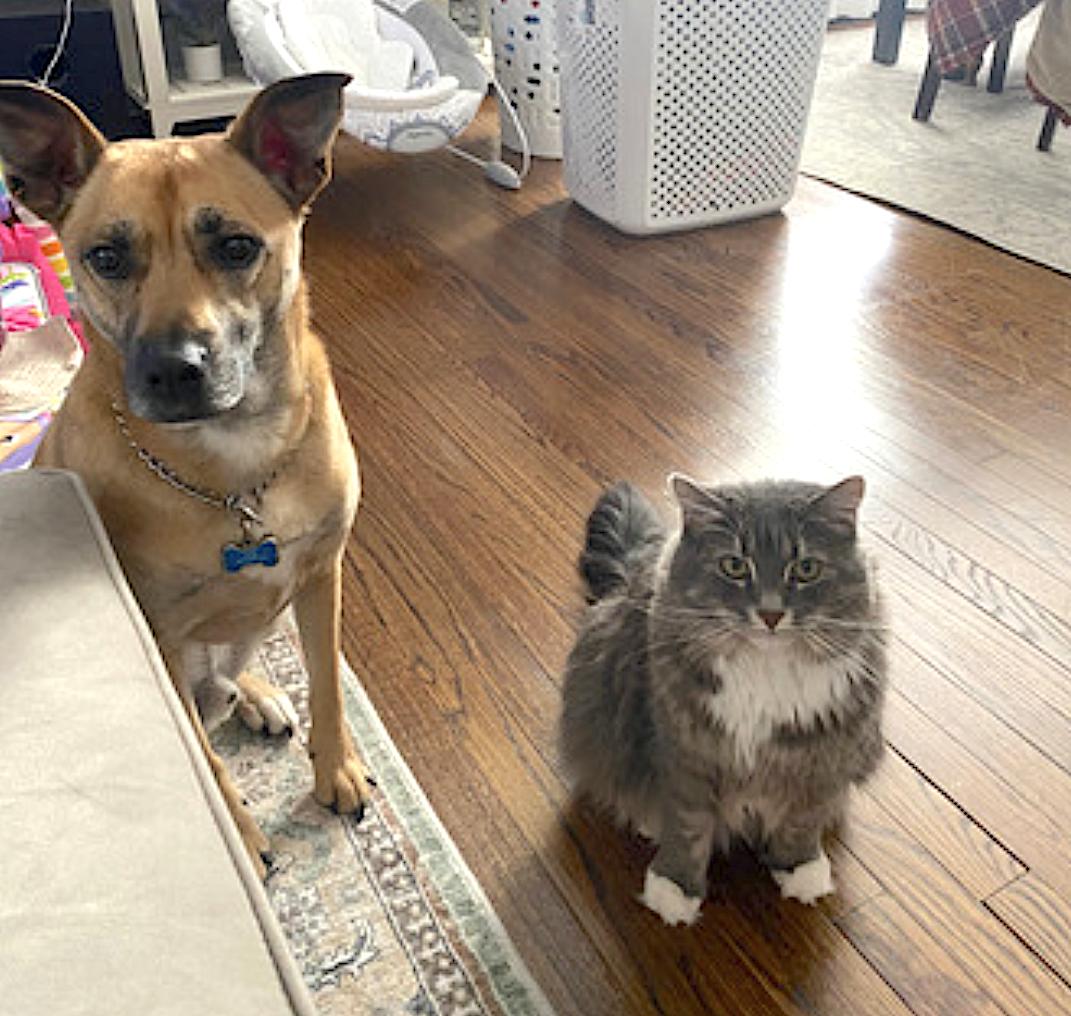 Pepper and Salt — thumbnail 4