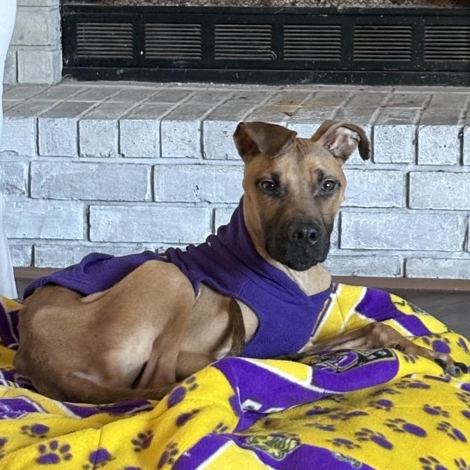 Asher — thumbnail 2