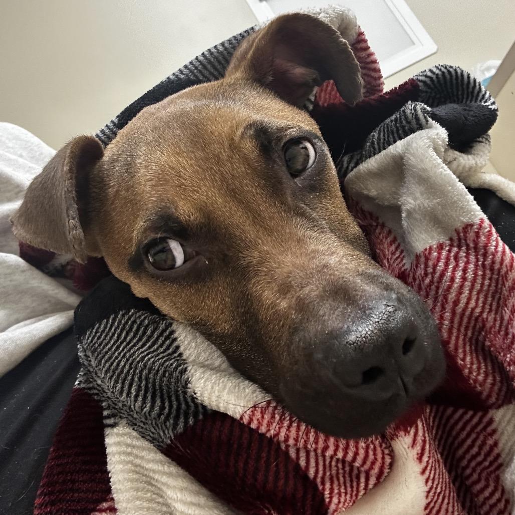 Asher — thumbnail 3