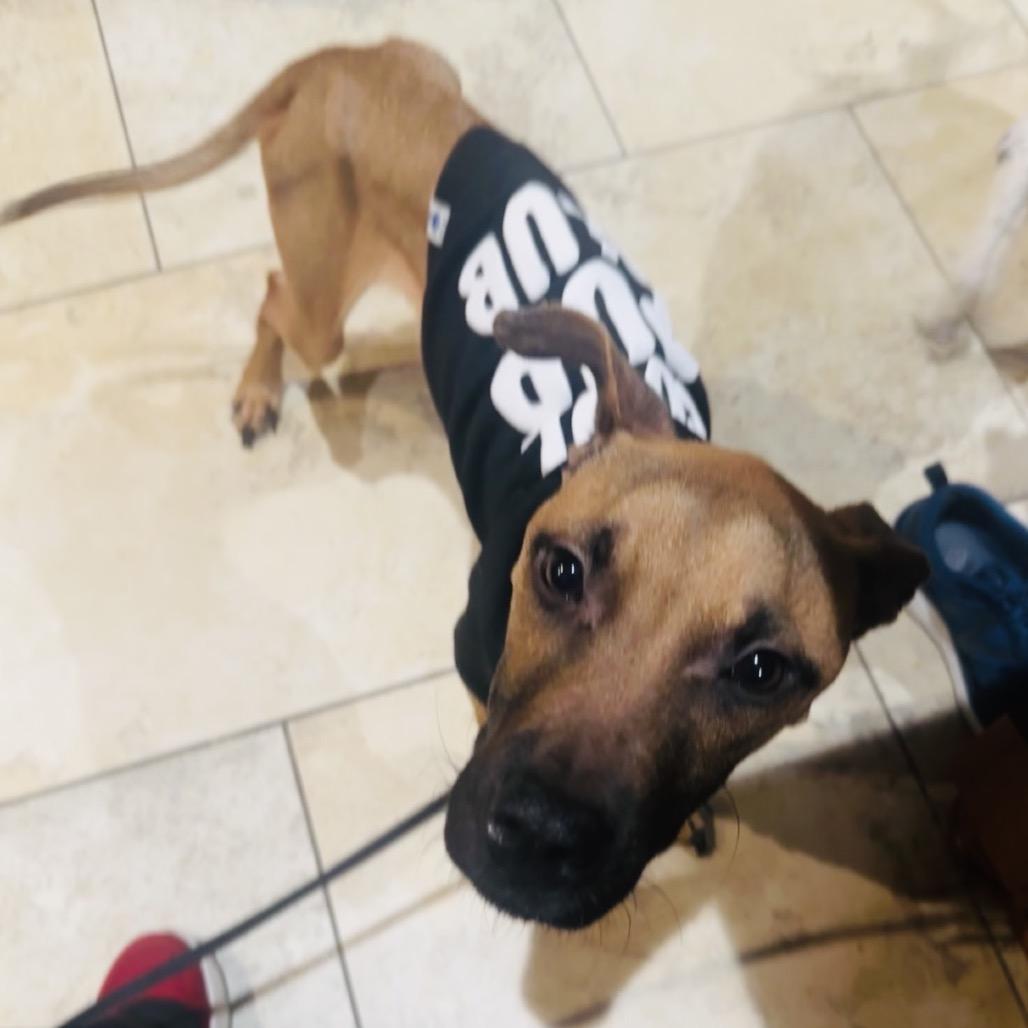 Asher — thumbnail 4