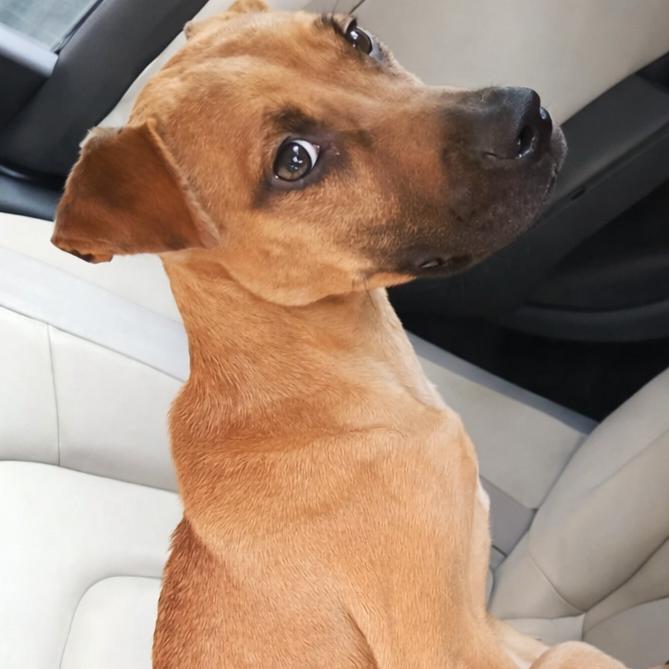 Asher — thumbnail 5