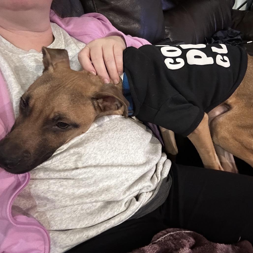 Asher — thumbnail 6