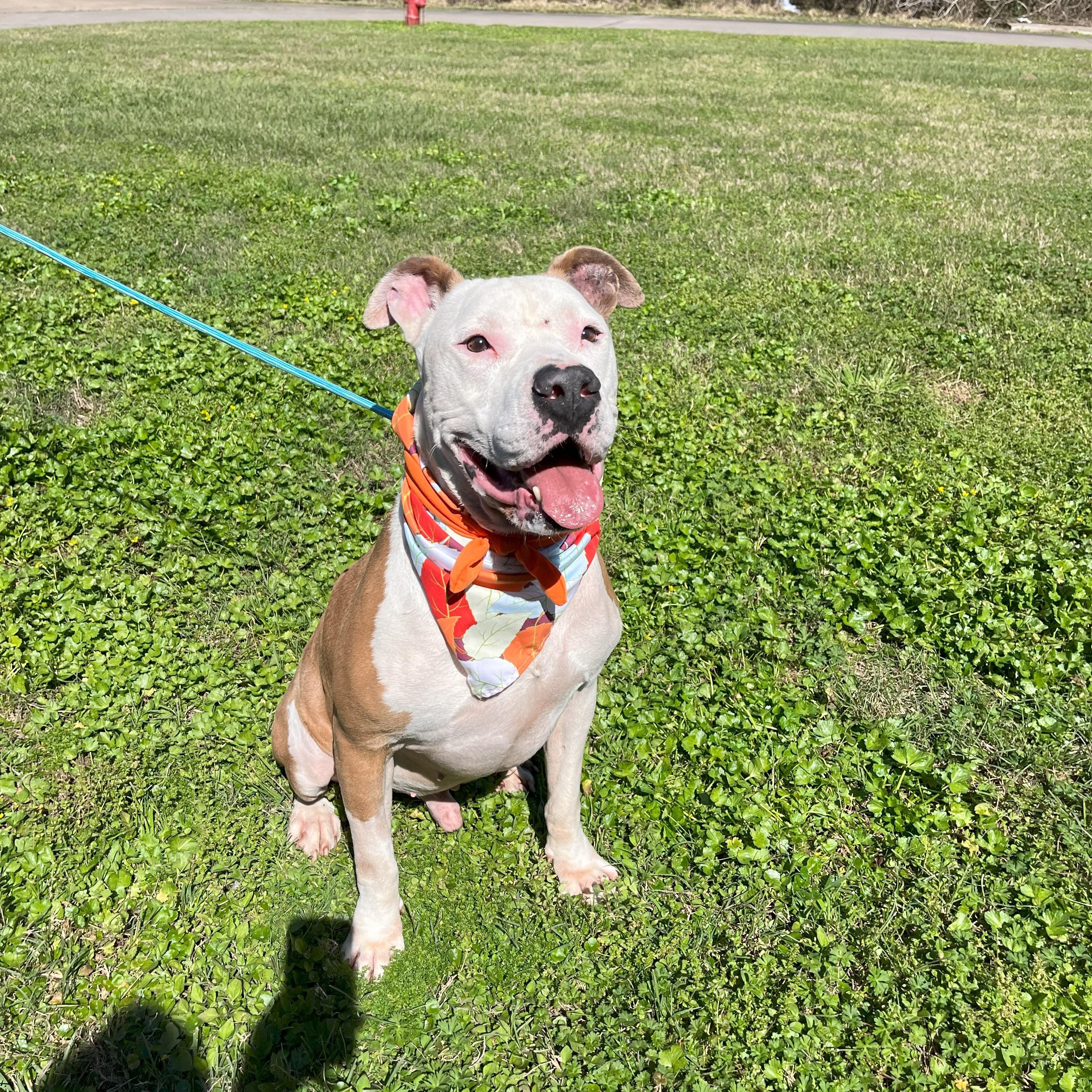 Coors — thumbnail 2