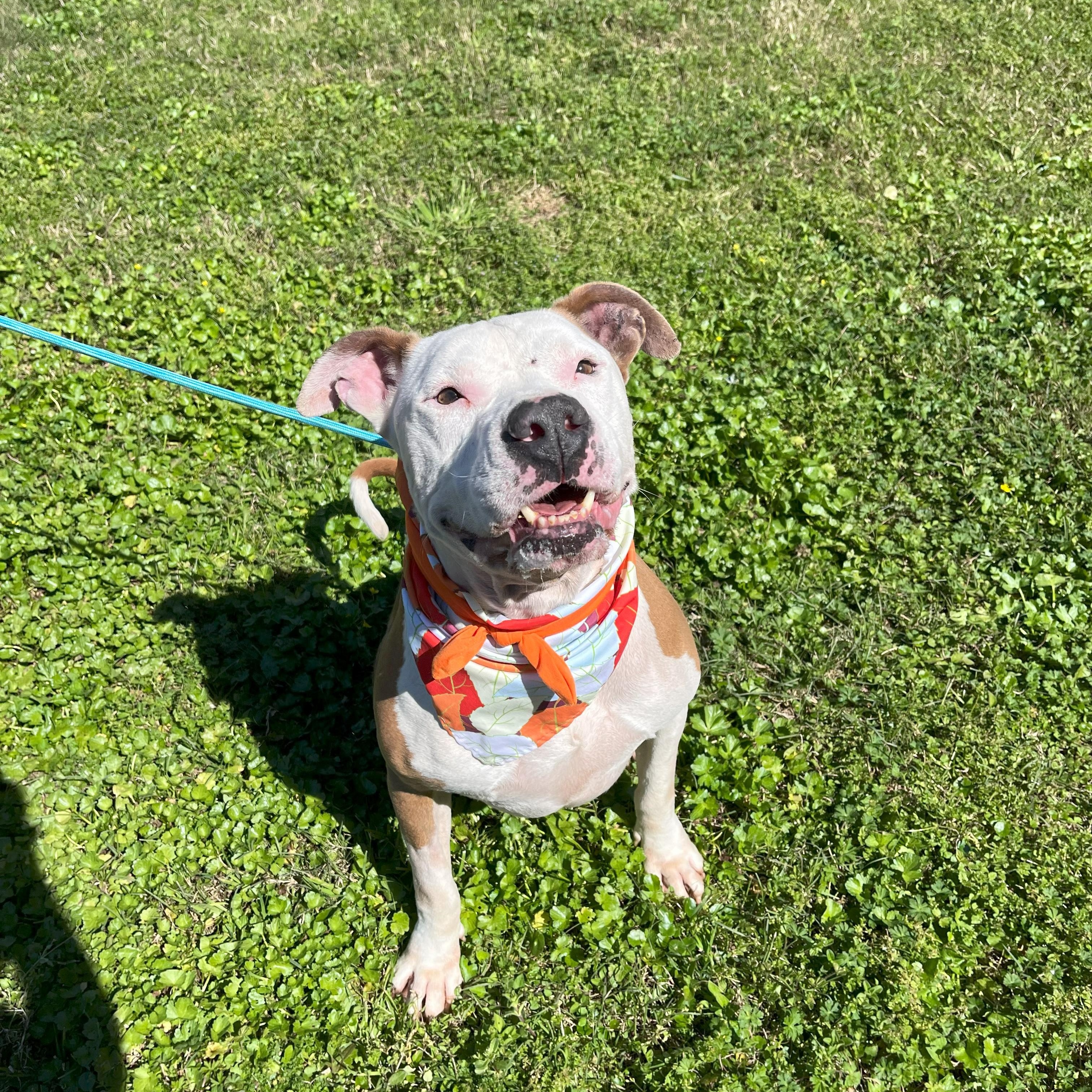 Coors — thumbnail 5