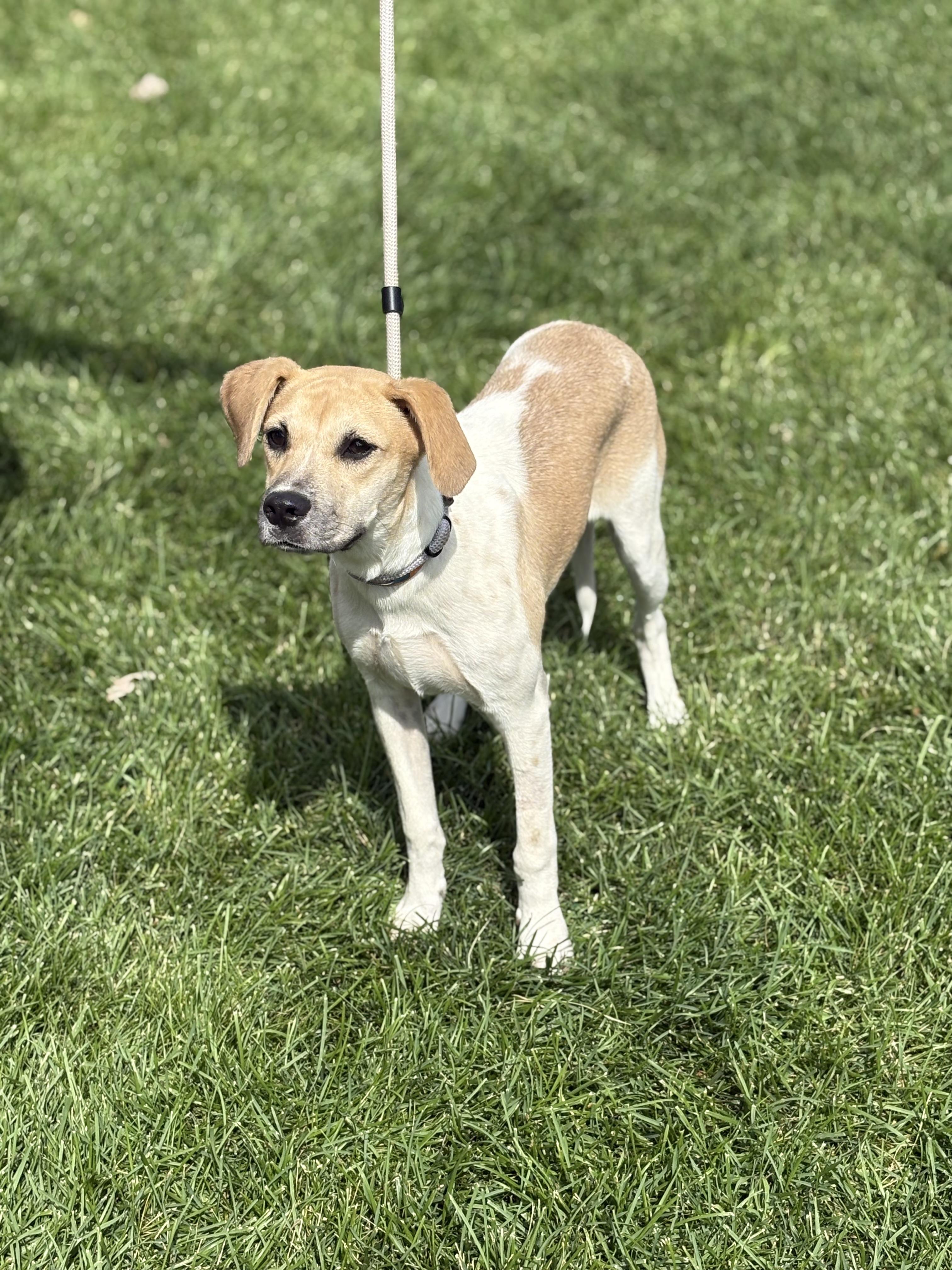 Bella