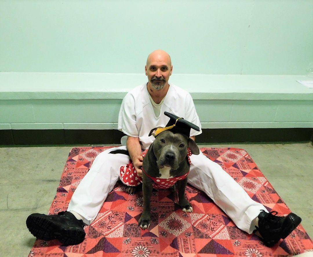 Maggie, a Adopted Pit Bull Terrier in Milledgeville, GA image 5/12