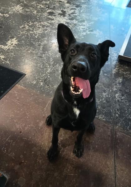 Baylynn — thumbnail 2