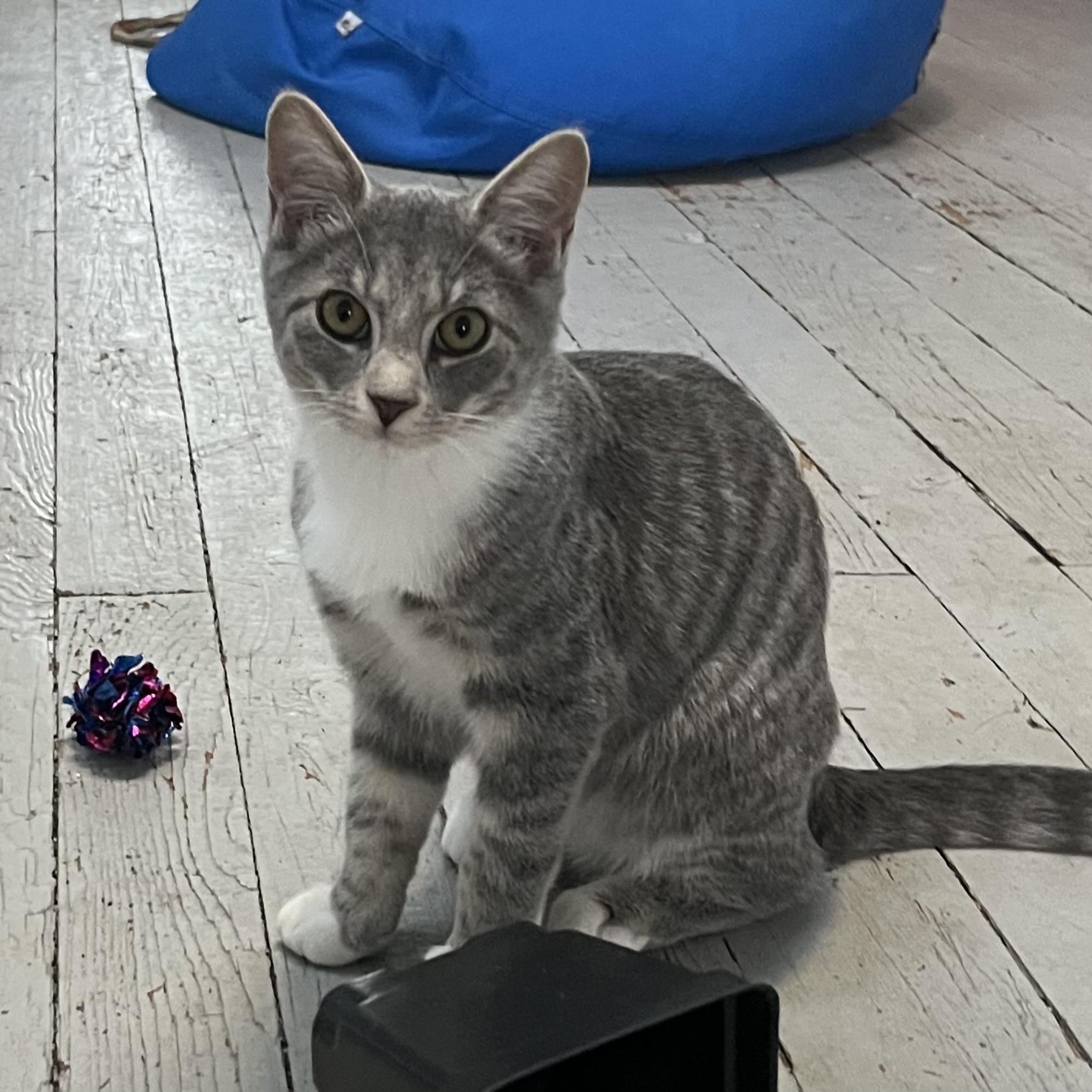 Parker and Marcy — thumbnail 2